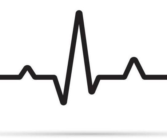 The Do-It-Yourself Electrocardiogram (ECG)
