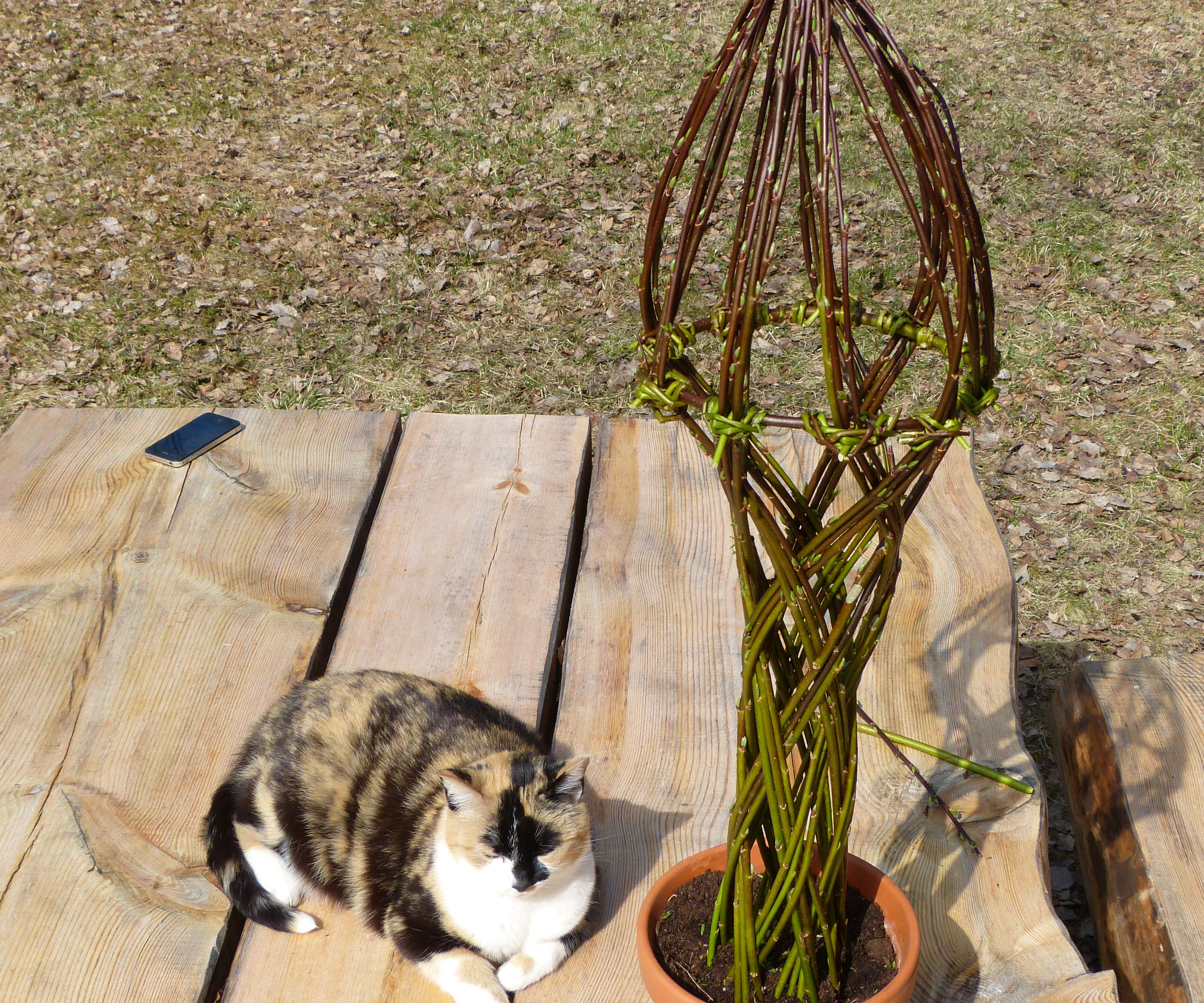 Living Willow Columns /  Sculptures