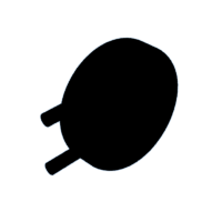 download {{ file.name }}