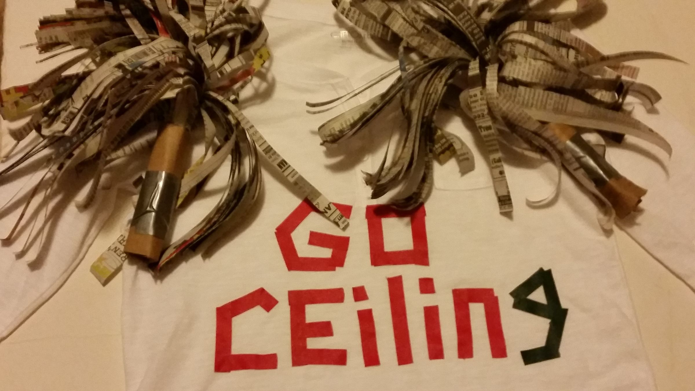 Halloween Costume: Ceiling  Fan