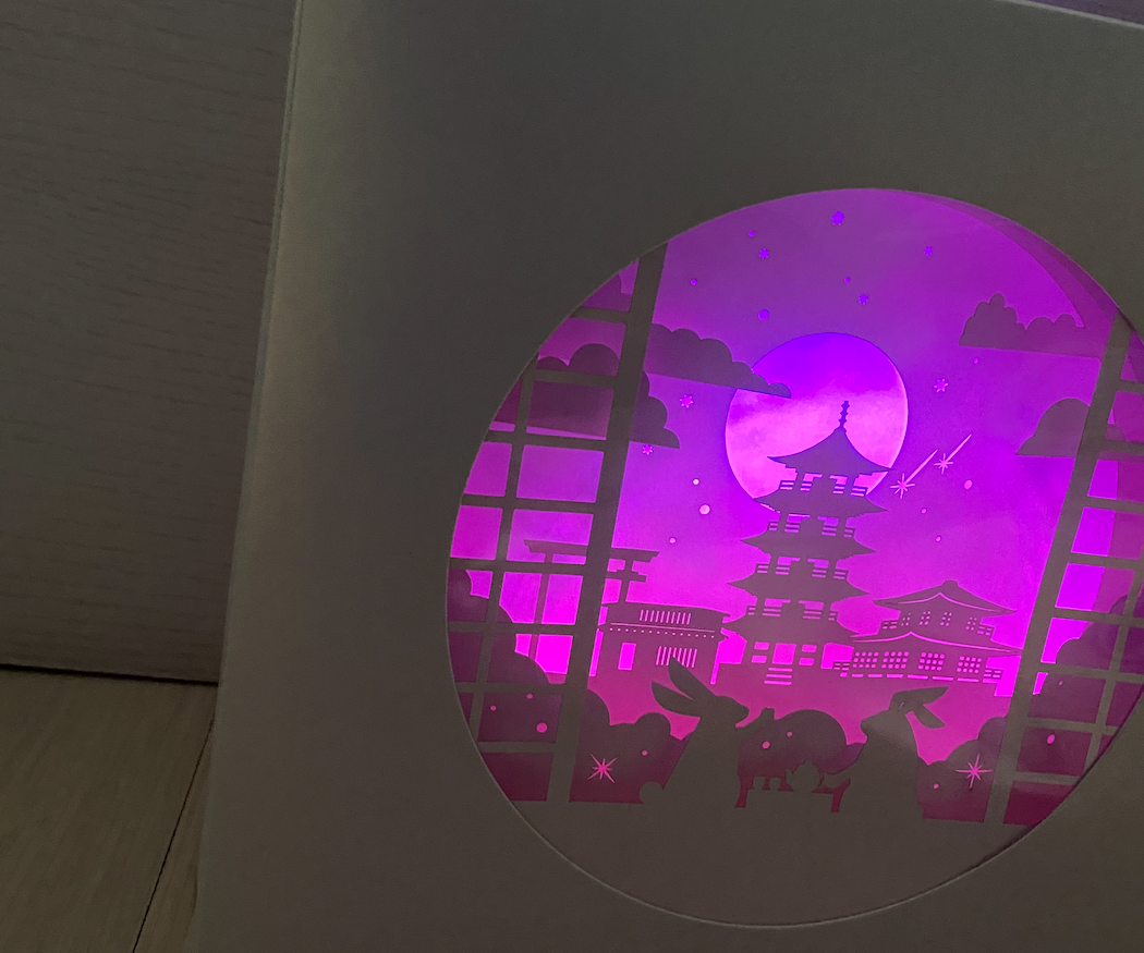 Shadow Light Box