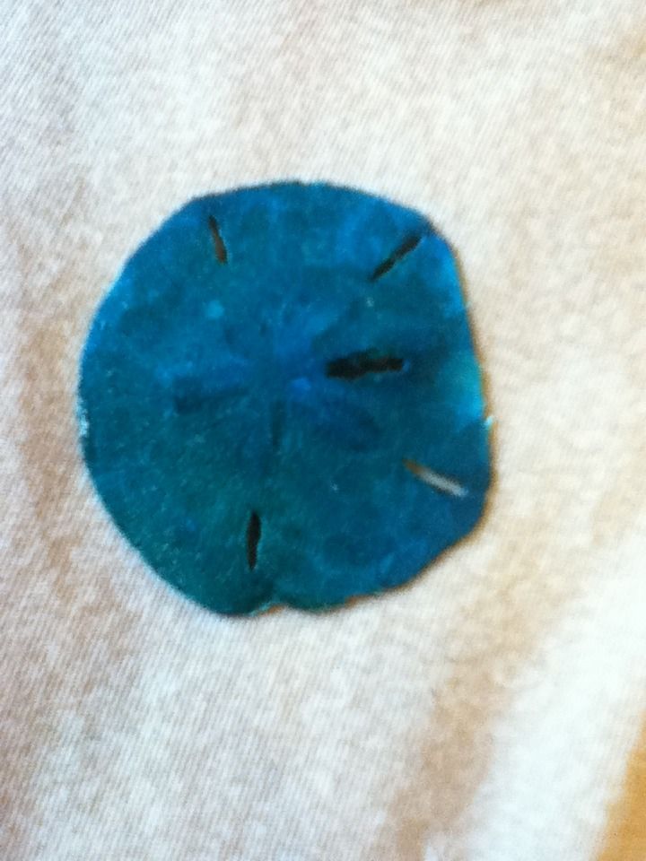 DIY Colorful Sand Dollars