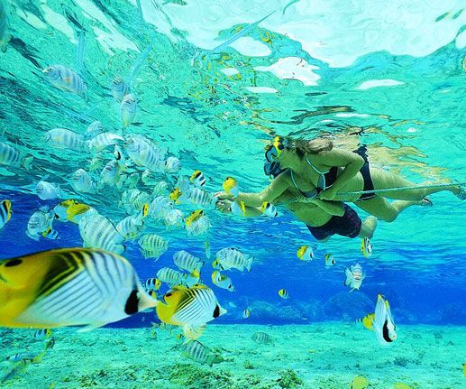 How to Try Beach Reef Snorkelling in Abu Dhabi