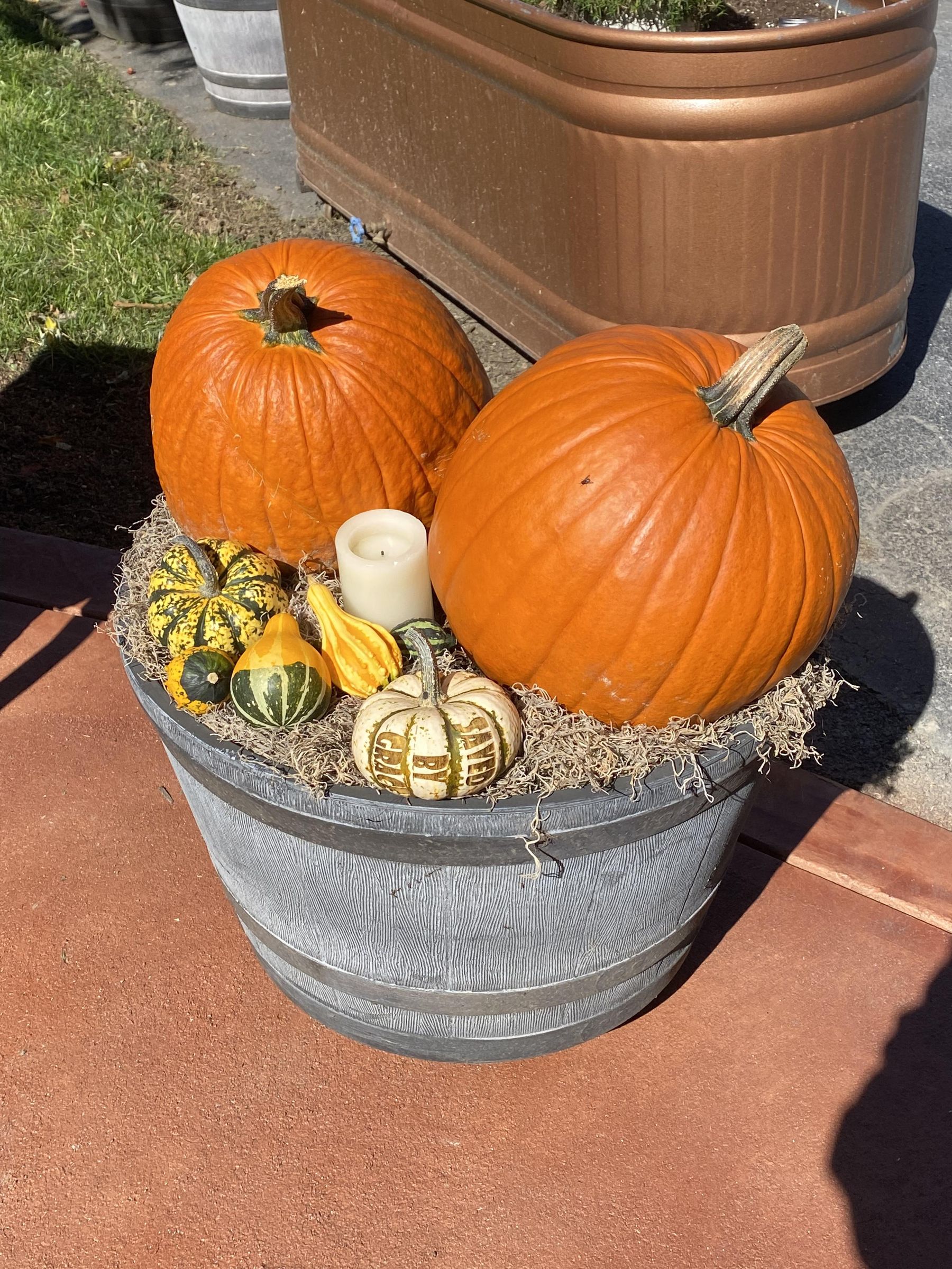 Laser Engraved Pumpkins 8 Steps Instructables