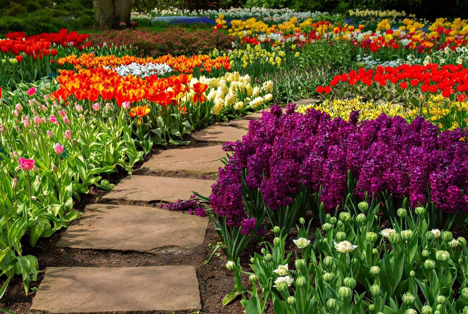 How to Make a Flower Pathway