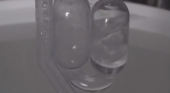 Fermentation Starts