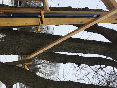 Epic Treehouse : 13 Steps (with Pictures) - Instructables