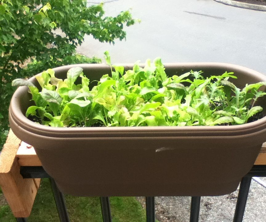 Curved Railing Planter Adapter