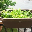 Curved Railing Planter Adapter