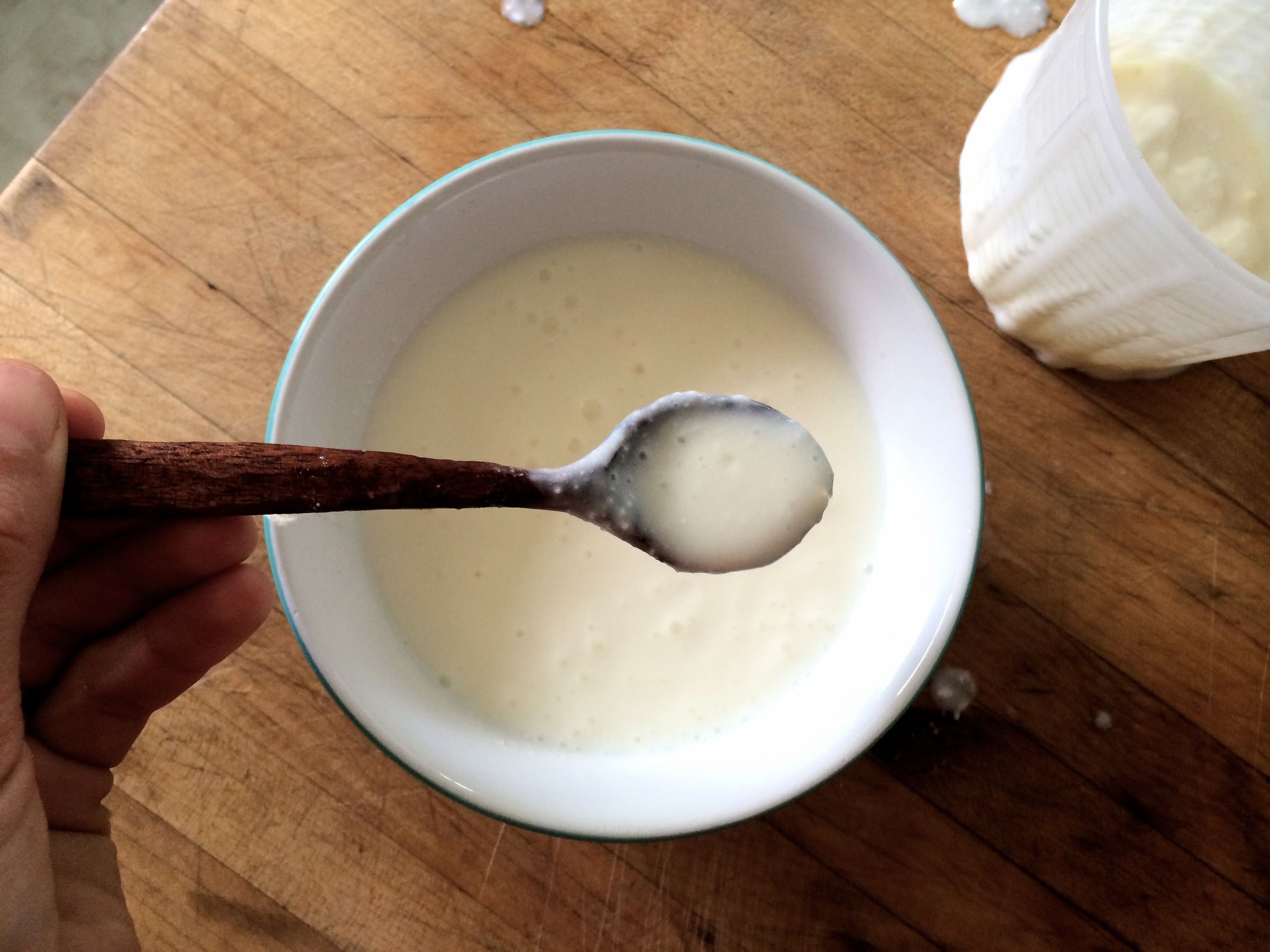 How to Make Kefir Using Kefir Grains 10 Steps (with Pictures