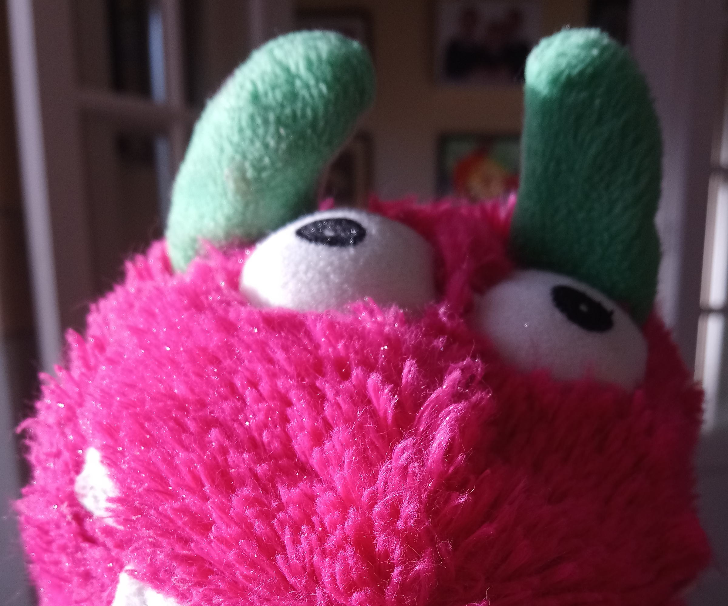 Build a Chatbot Bear