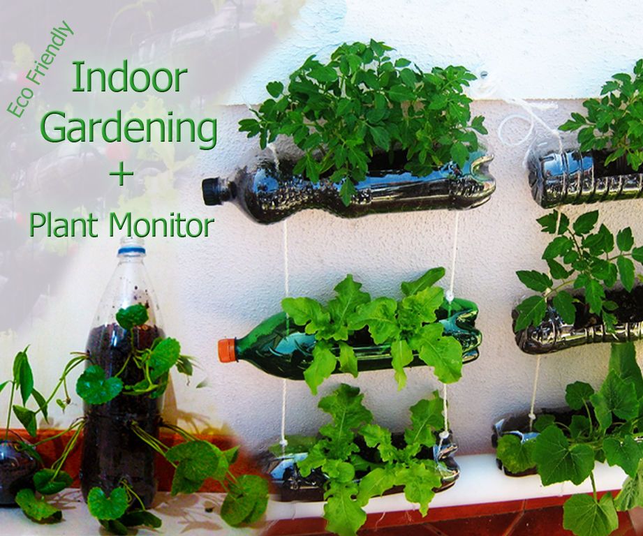 Indoor Garden Using Plastic Bottles