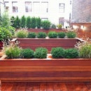 NYC Landscape Design Guide