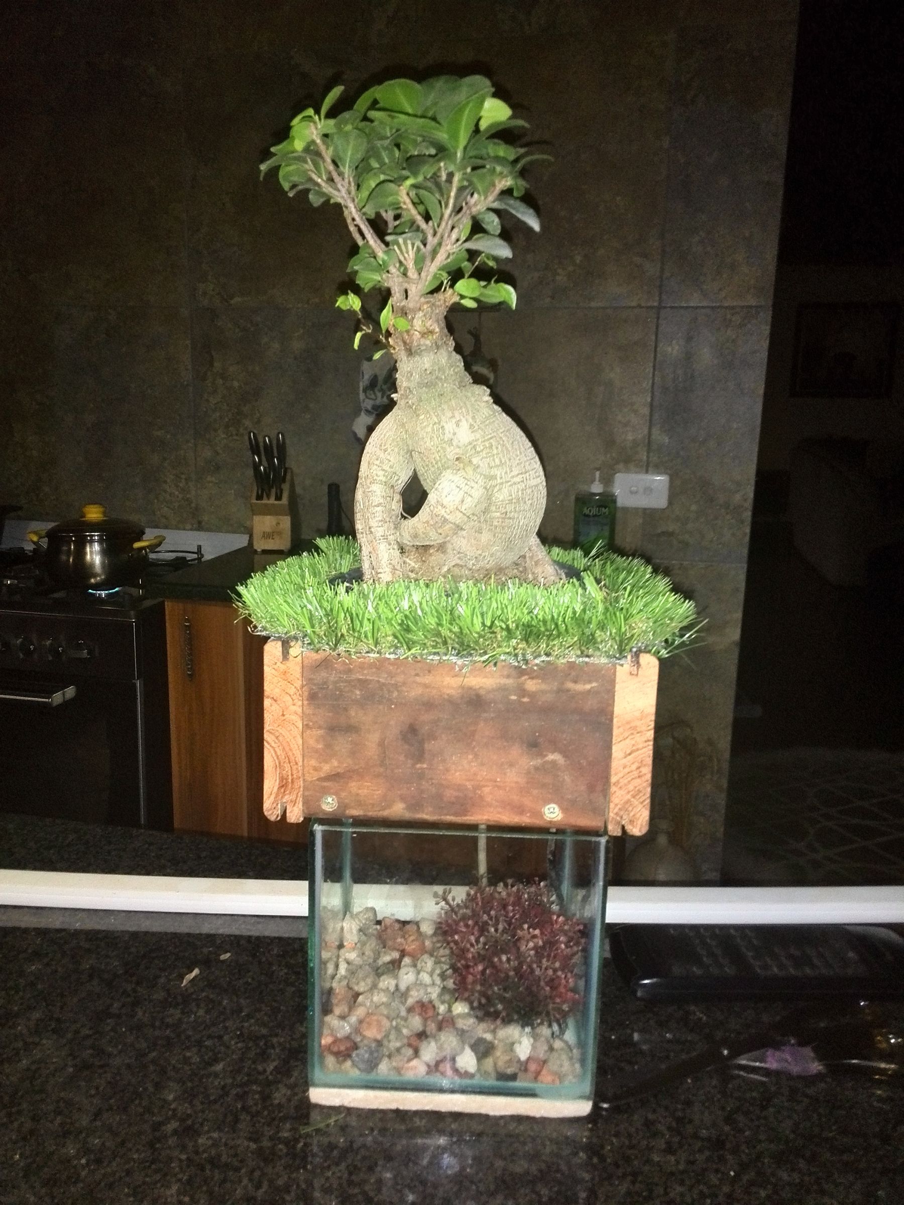 Bonsai Aquaponic 9 Steps Instructables