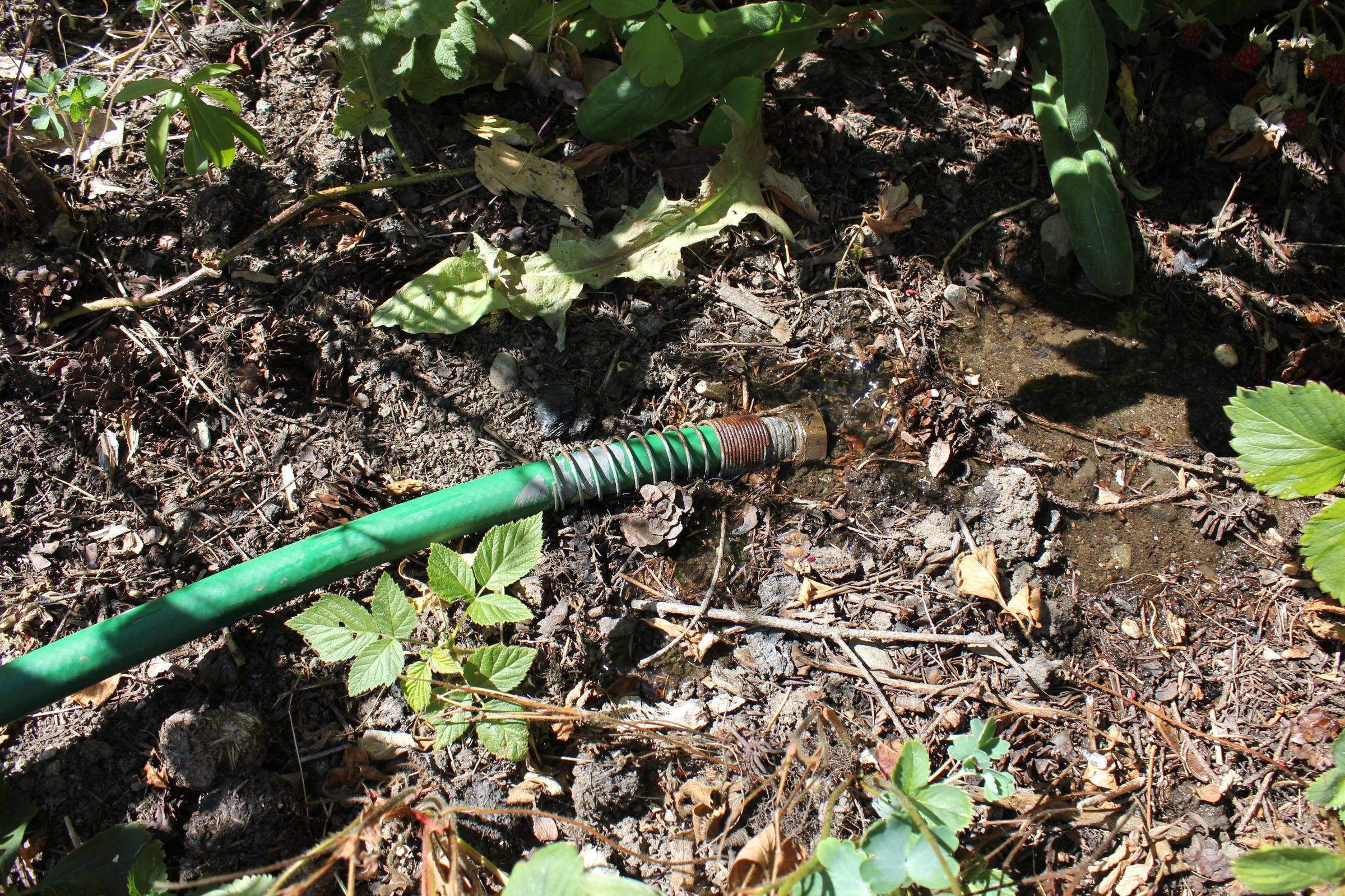 Water Your Garden From Your Bathtub Instructables