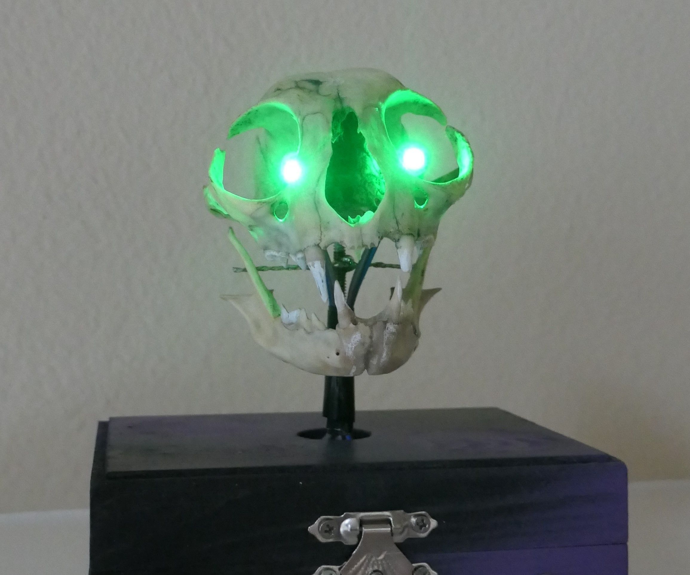 Skull With Gradient Eyes.