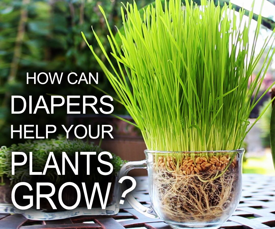 Diapers Help Your Plants Grow!