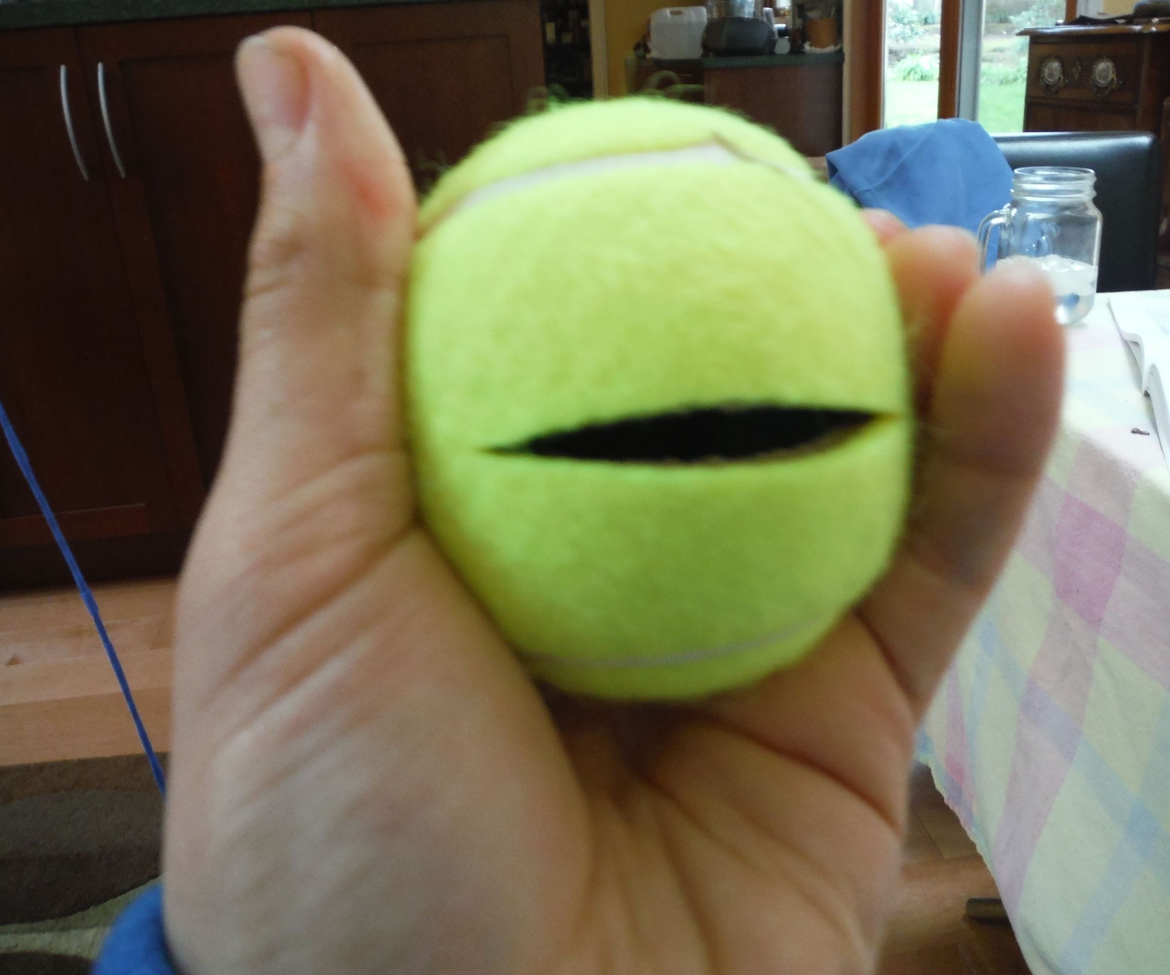 Tennis Ball Secret Container