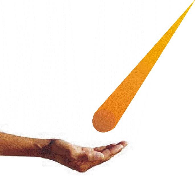 Give Your Loved One a Real "fallen Star".