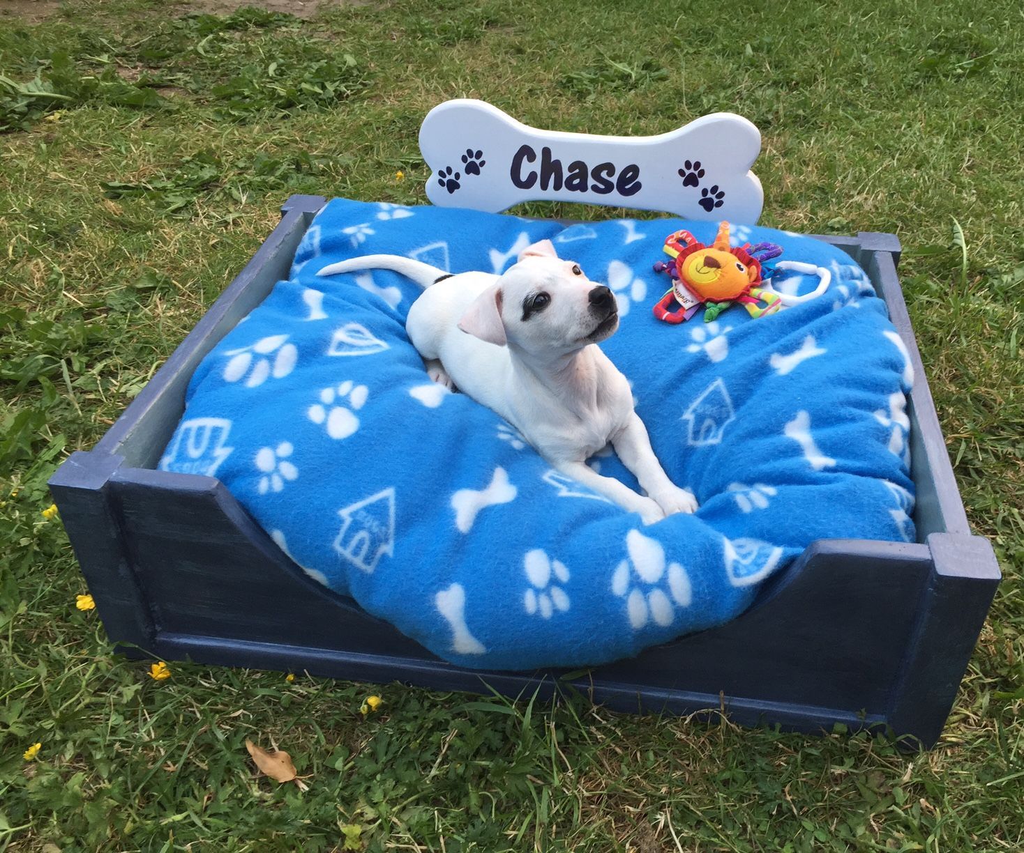DIY Dog Bed