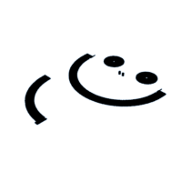 download {{ file.name }}