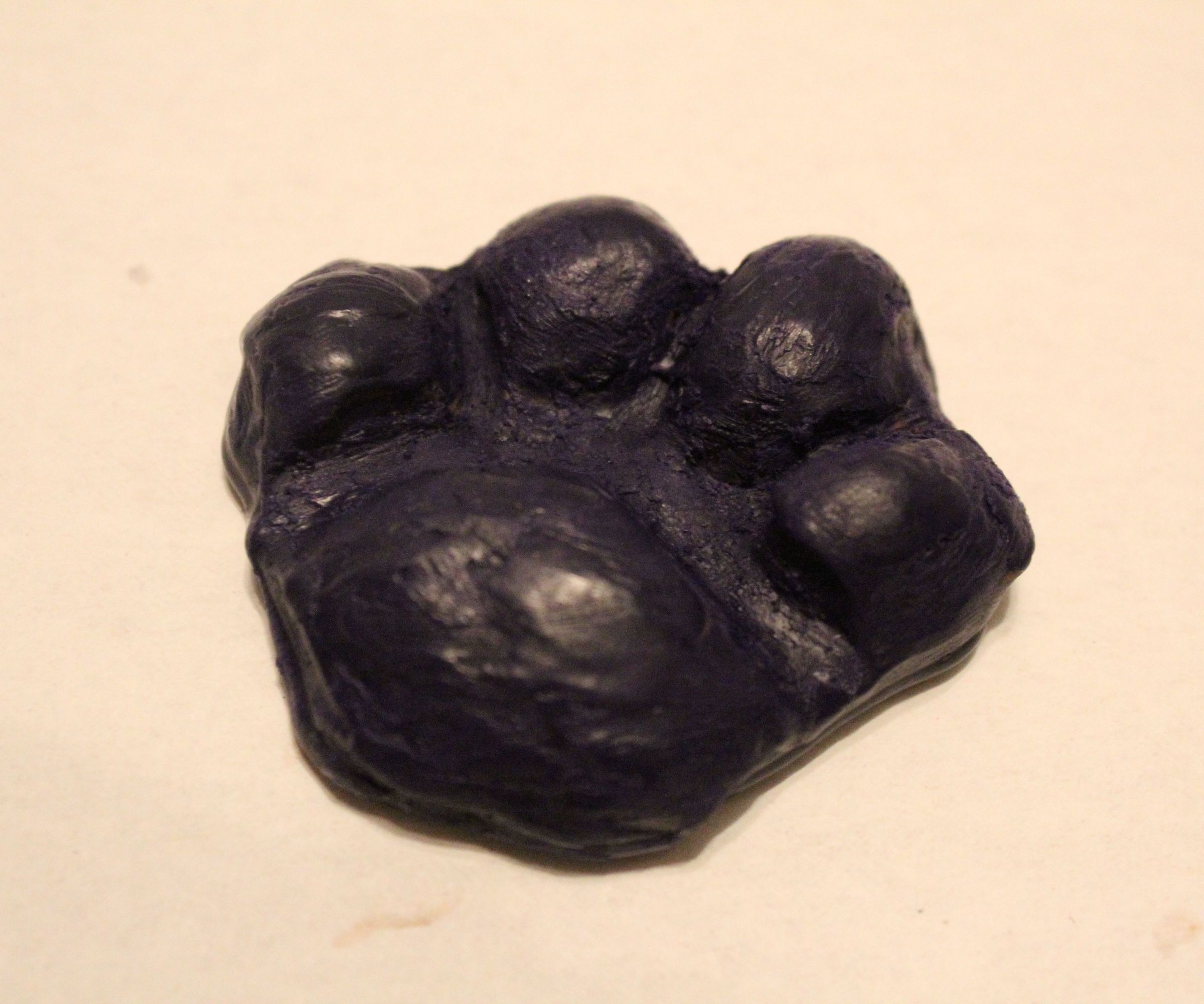 Dog/Cat Paw Crayon