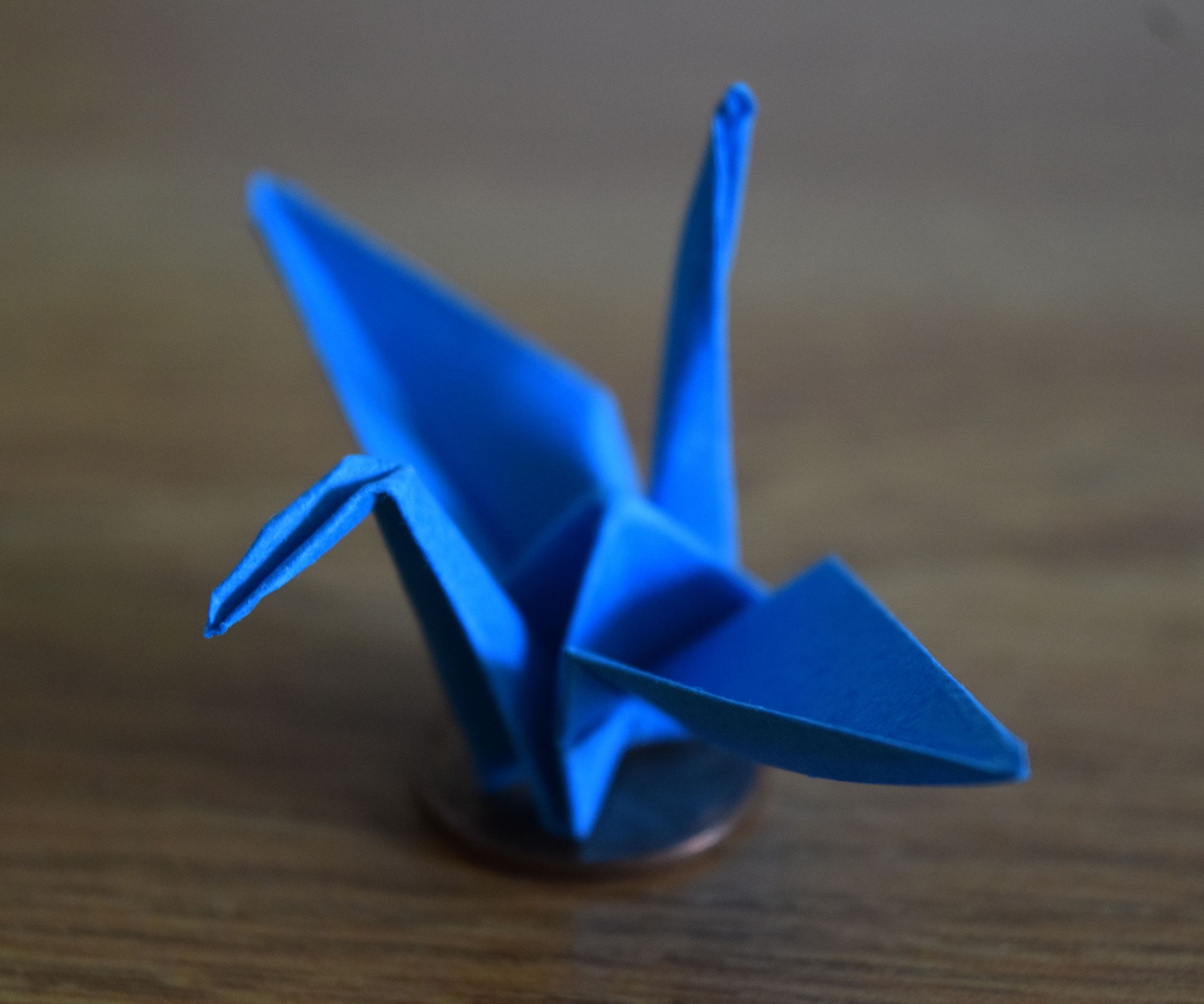 How to Fold Origami Cranes