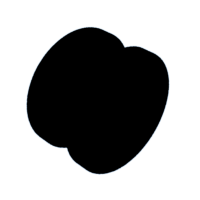 download {{ file.name }}