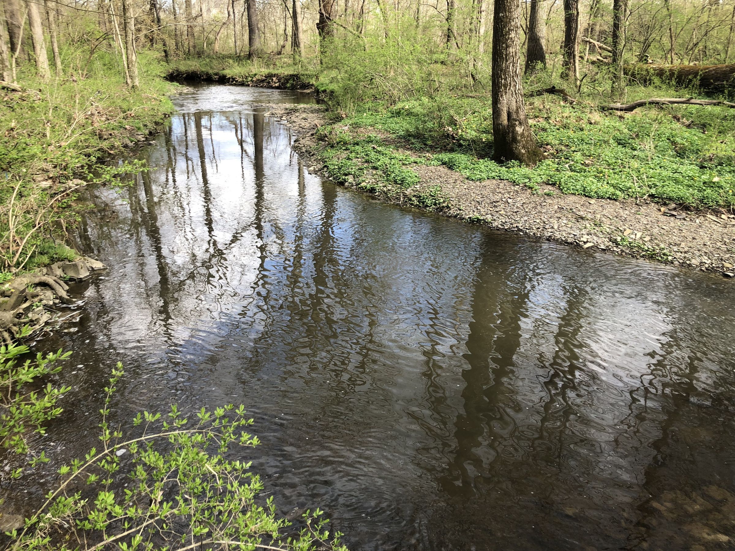 Homemade Jenga Block Spectrophotometer for Algae Experiments 15 Steps Instructables