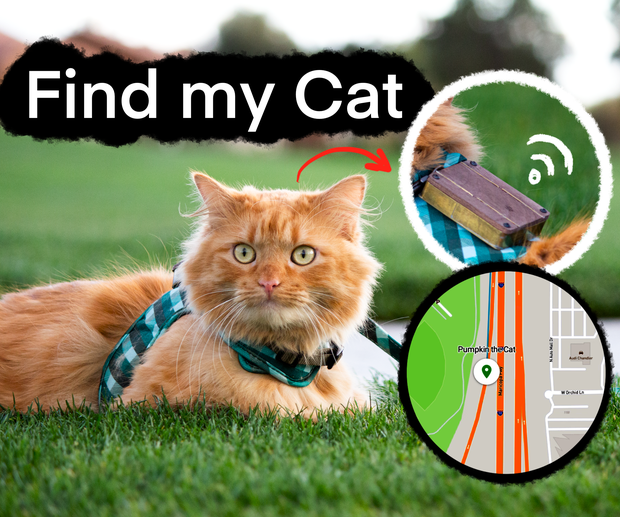 Find My Cat the GPS Tracker for Pets 29 Steps with Pictures