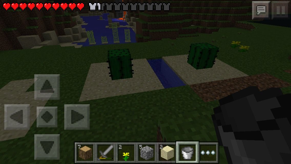 Cactus Farm