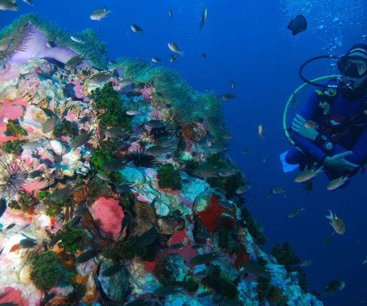 How to Plan a Scuba Diving Trip in Hua Hin