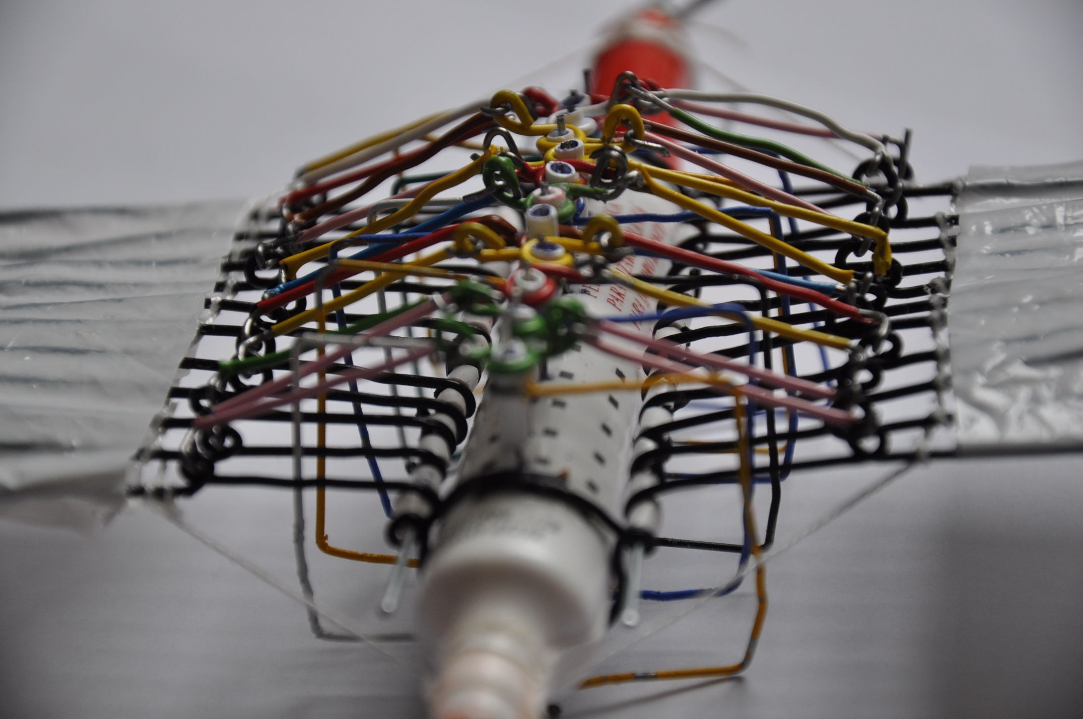 Anomalocaris inspired undulating mechanism