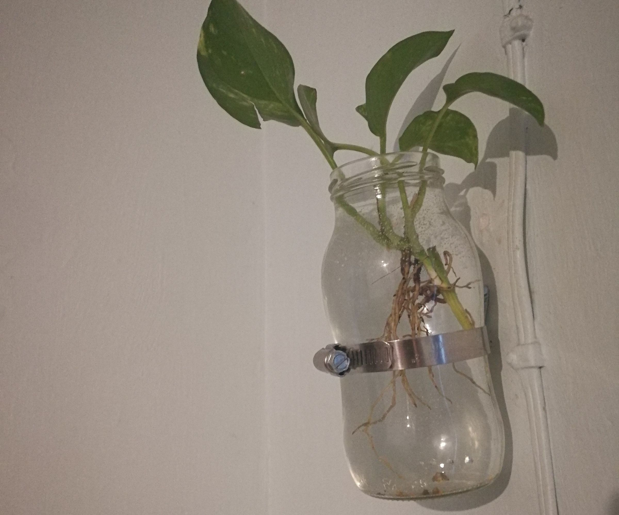 Floating Flower Pot From Glass Jar