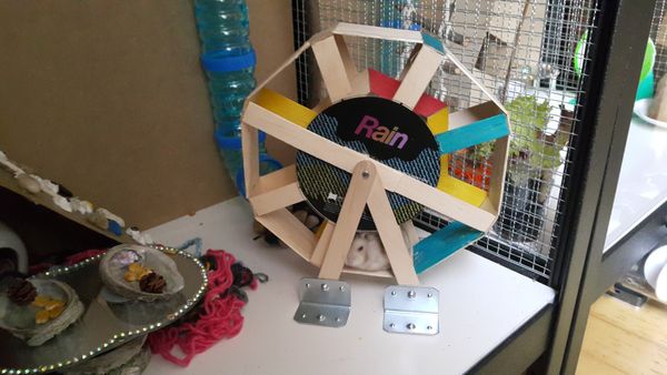Hamster Octagonal Wheel and Play House