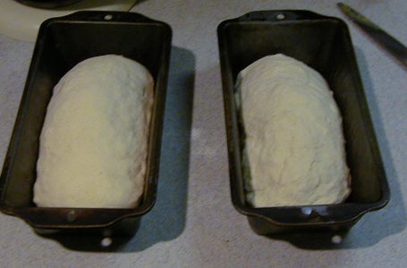 Pulse the Mixer to Punch Down the Dough, Form Into Loaves,let Rise Again