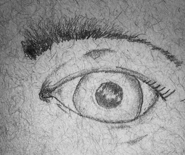 Drawing the Eye