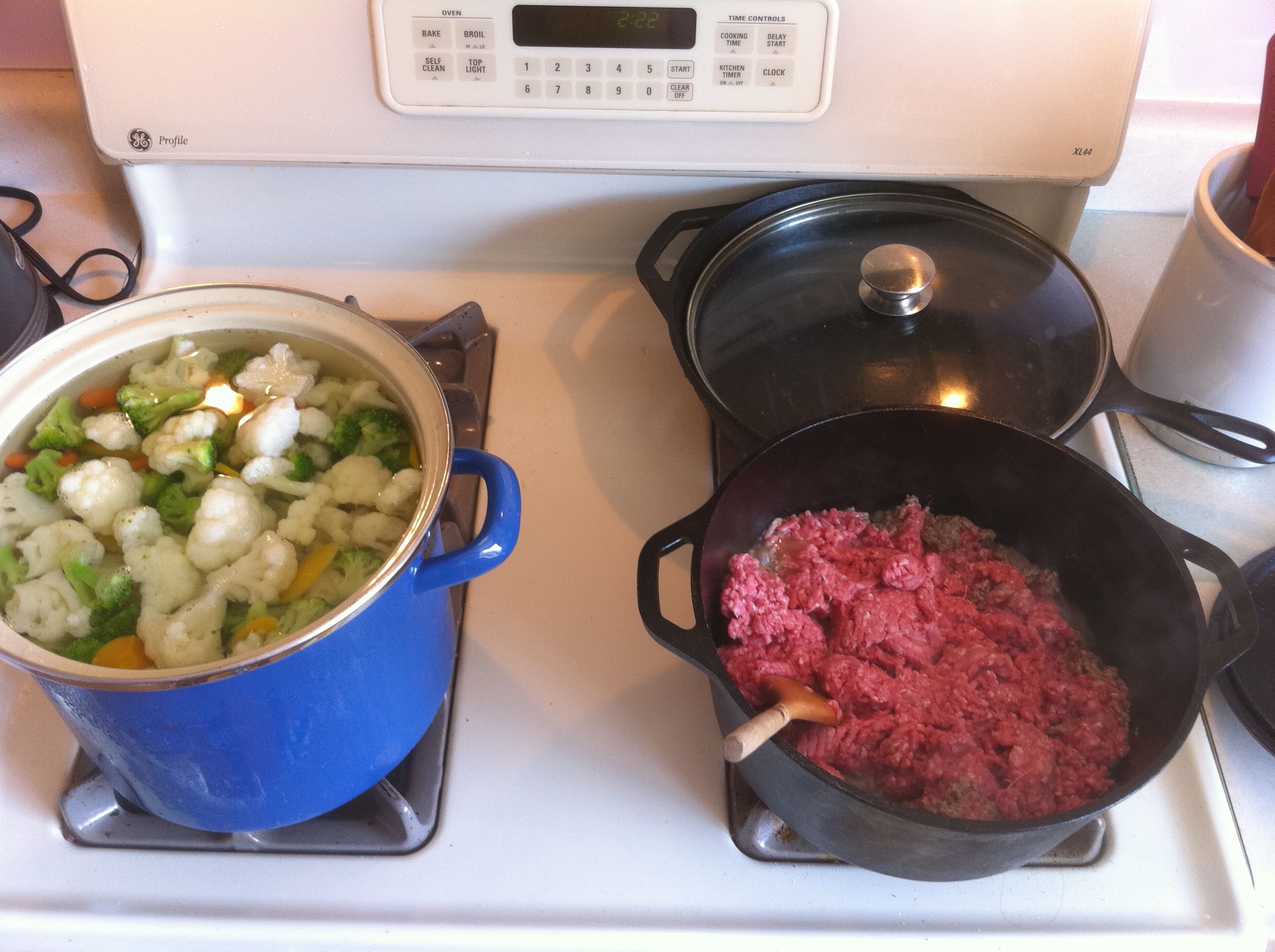 How to Make Healthy Dog Food 6 Steps Instructables