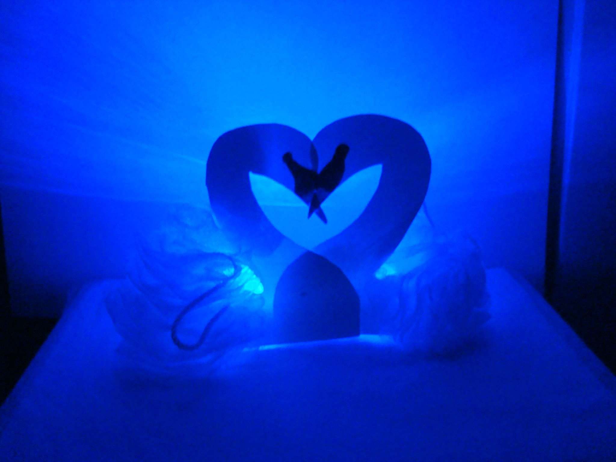 Quick, Easy, and Cheap Notebook Wedding Ideas