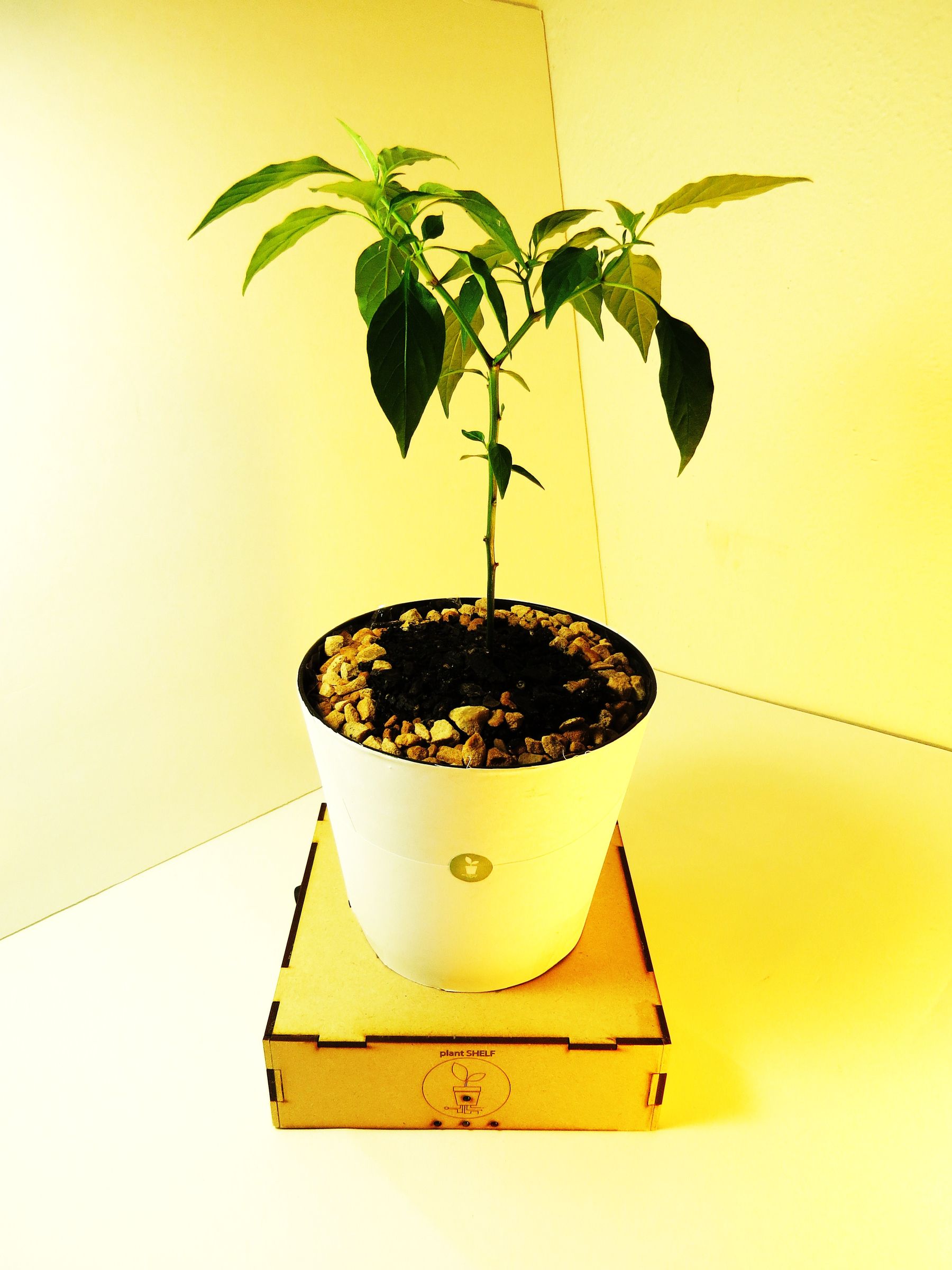 The Plant Shelf Basic 4 Steps Instructables