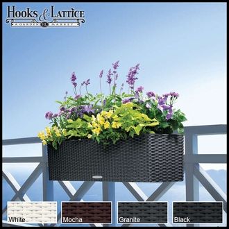 Window Boxes a Change in Home Appearance