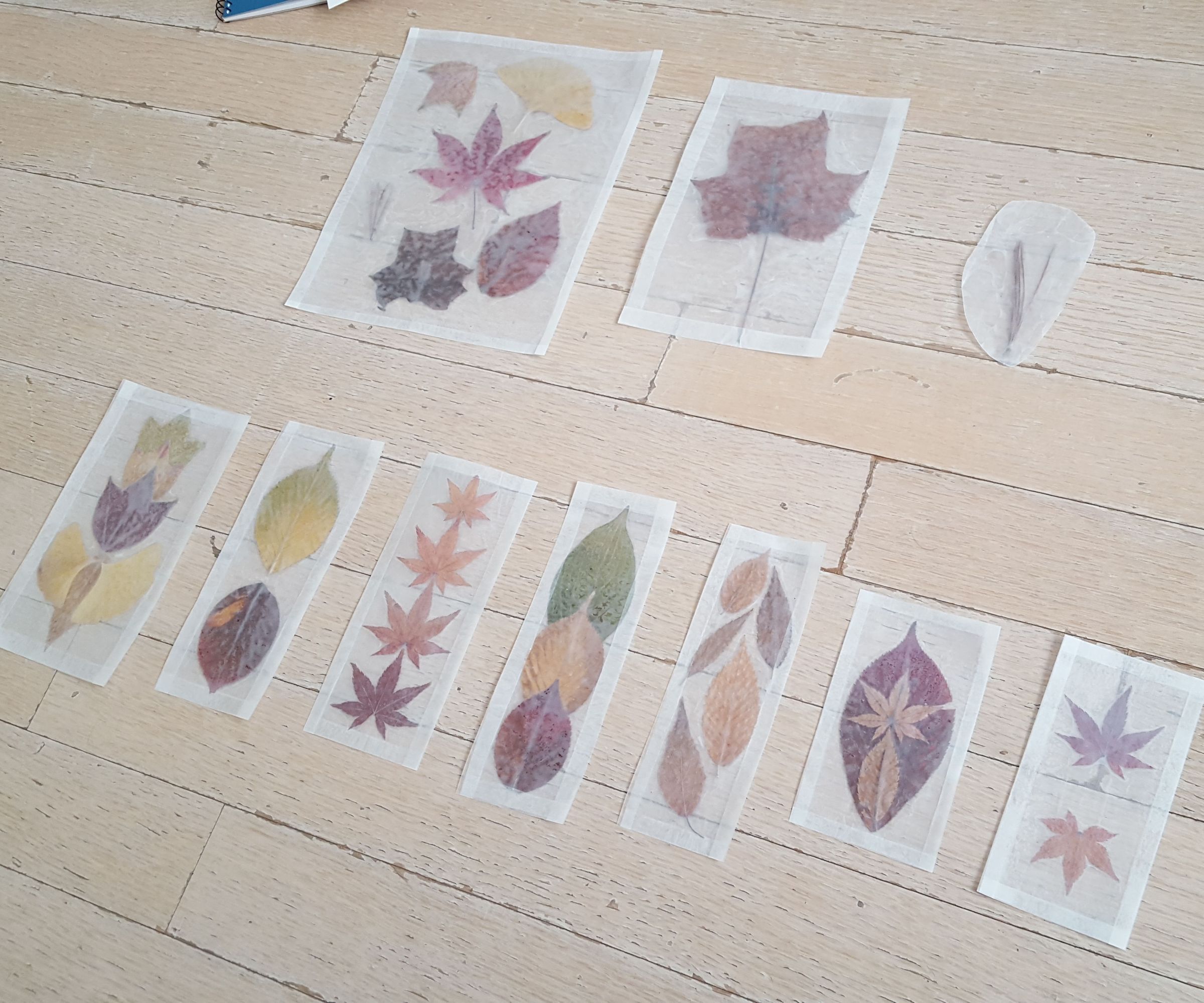 Wax Paper Pressed Foliage Bookmarks