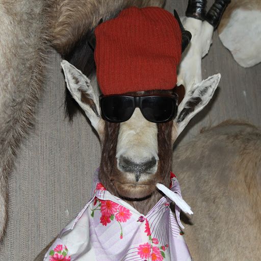 Instructables profile picture for @Fasting