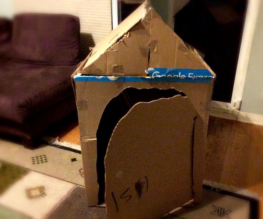 Build a House Out of Old Boxes