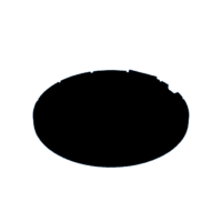 download {{ file.name }}