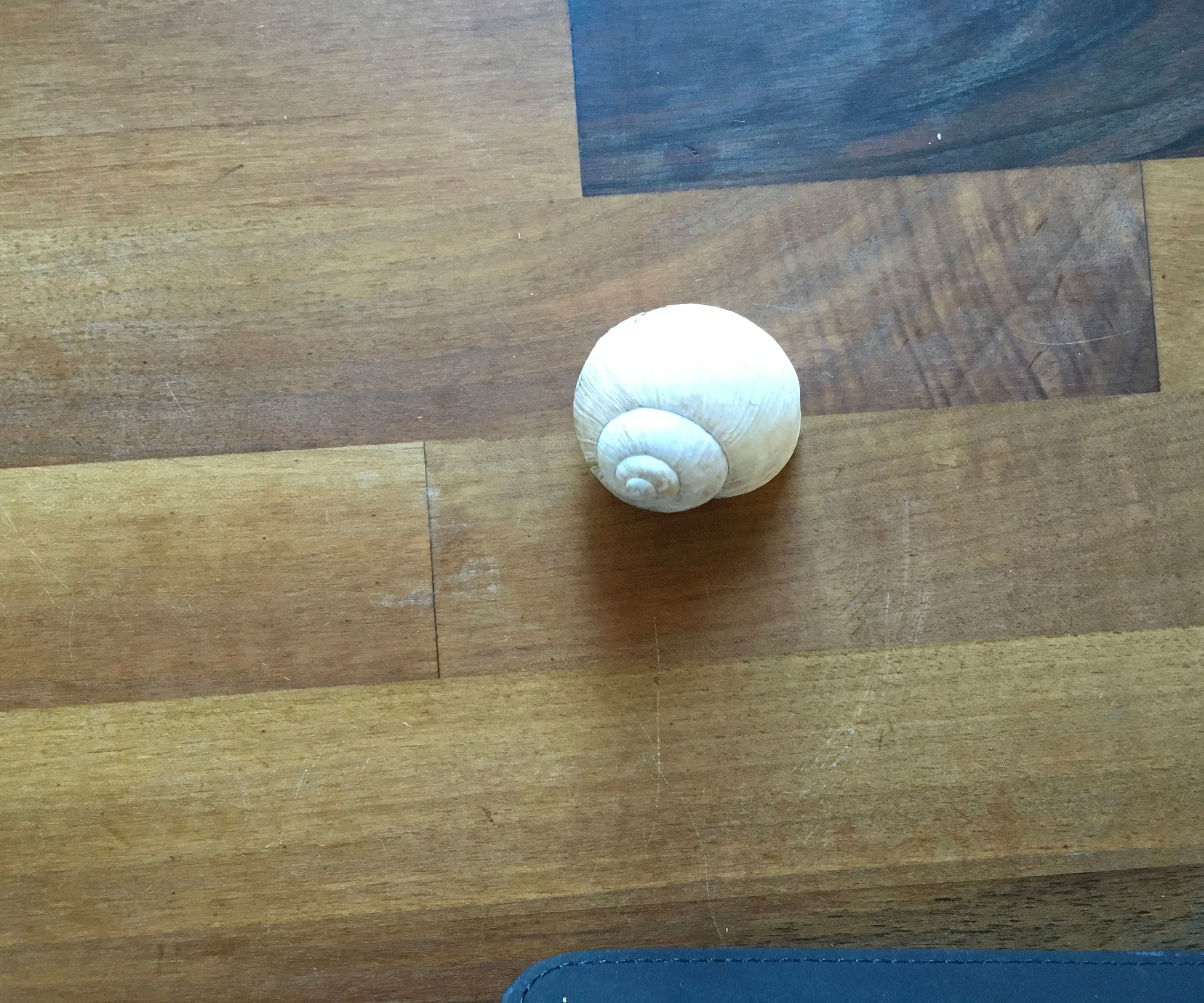 Creating a Tricky Geocache