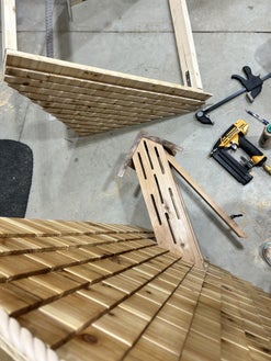 Back to the Butterfly House