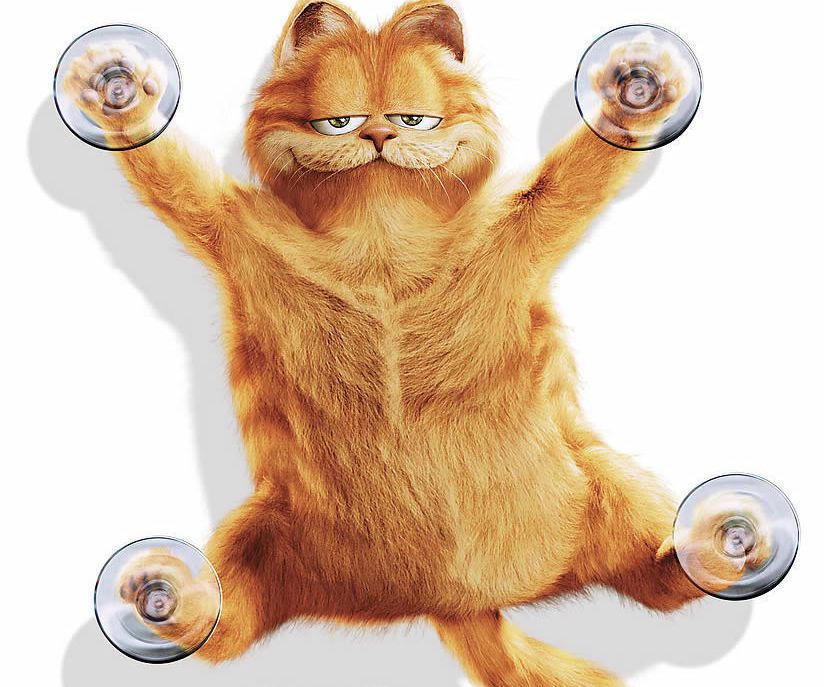  [Waterproof DS18B20 Sensor Kit Tutorial_2] a BATHING CAT FOR YOUR BATHING