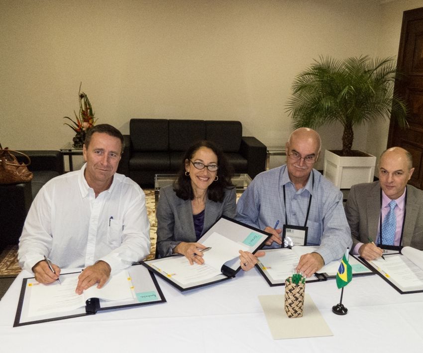 Regulation and Cooperation Is the Way to Rescue Drug Addicts