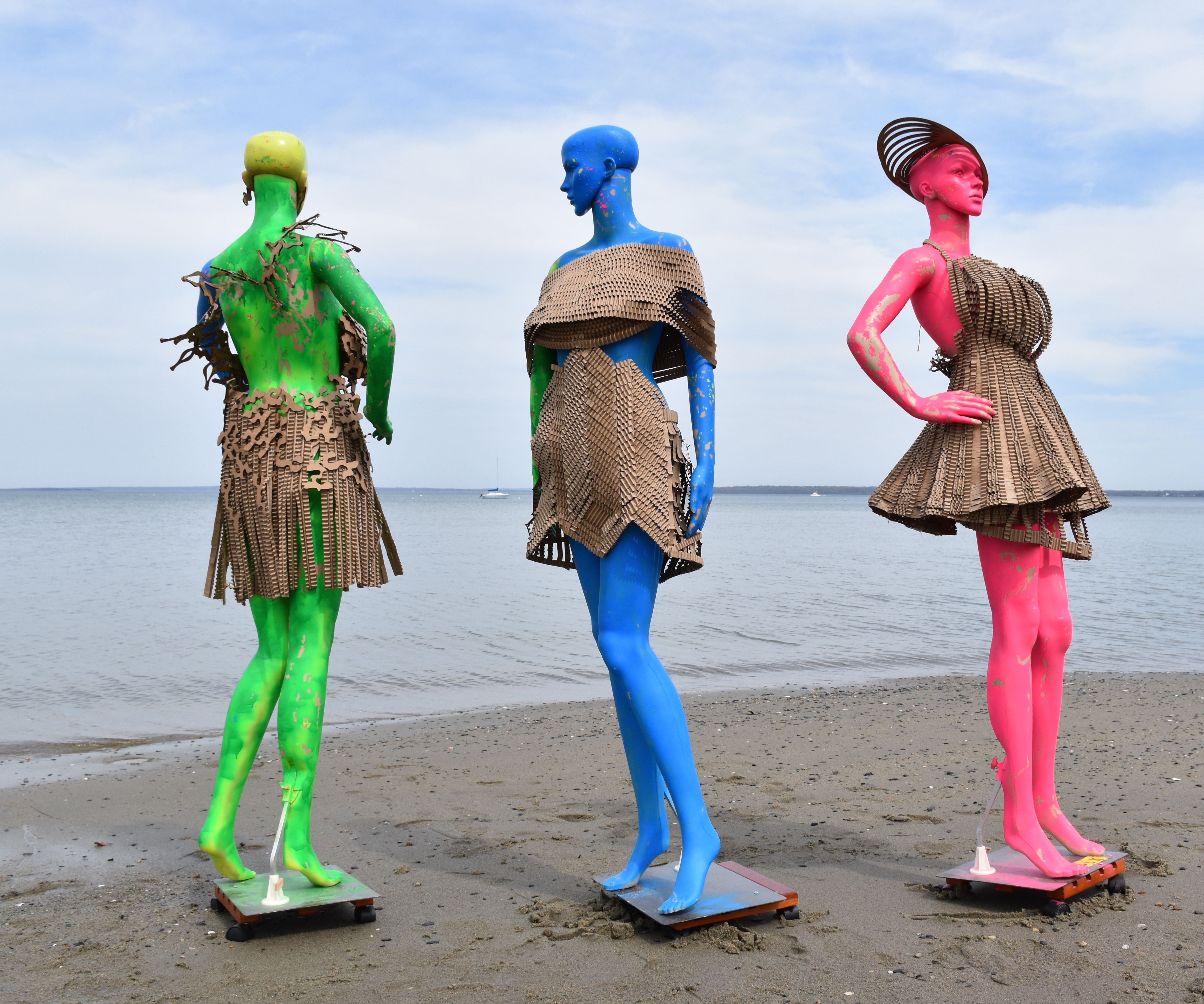 The Cardboard Collection